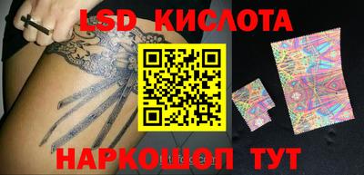 гашик Моздок