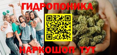 гашик Моздок