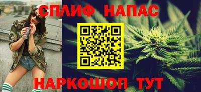 гашик Моздок
