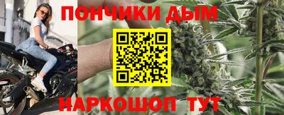 гашик Моздок