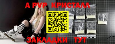 гашик Моздок