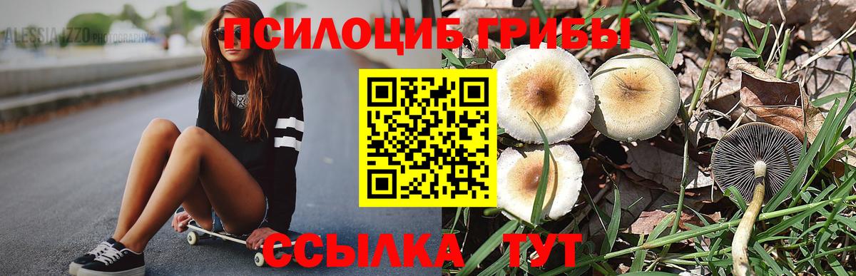 Галлюциногенные грибы ЛСД Таганрог
